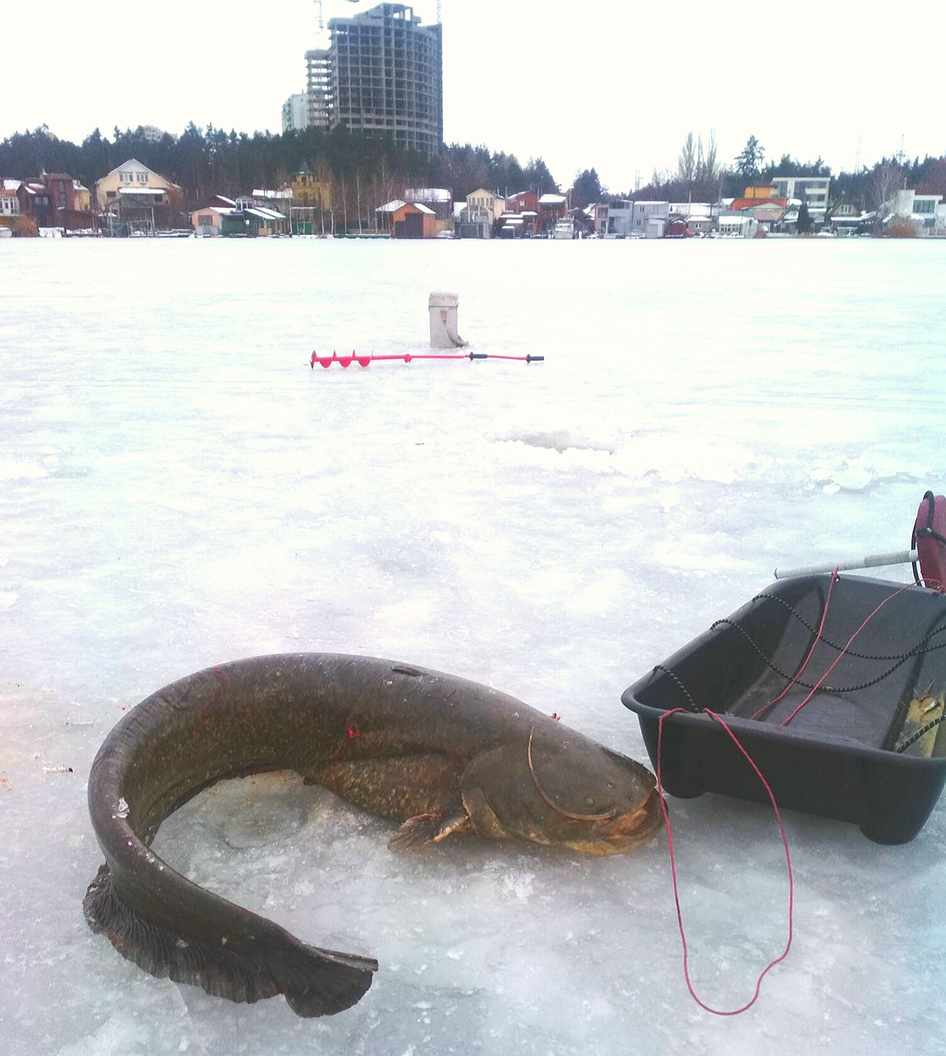 Бур для зимней рыбалки ручной - выбор рыбака